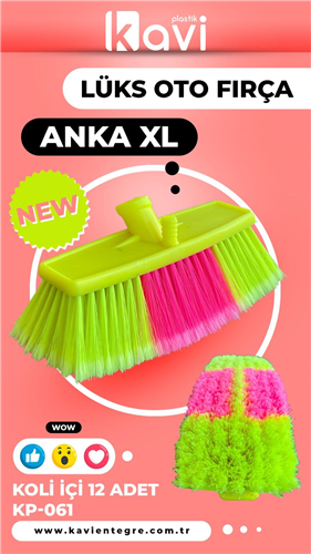 KAVİ ANKA OTO FIRÇASI 20 CM 